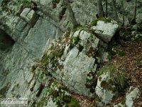 2015-09-28 La traversata degli Ernici 022